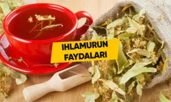 Ihlamur Çayı Faydaları Nedir? Nasıl Demlenir?