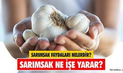 Sarımsağın Faydaları Nelerdir? Dikkat Çeken Özellikleri