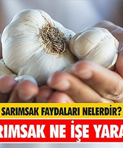 Sarımsağın Faydaları Nelerdir? Dikkat Çeken Özellikleri